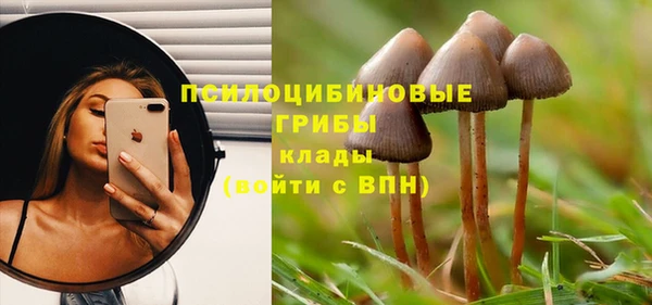 дживик Балабаново
