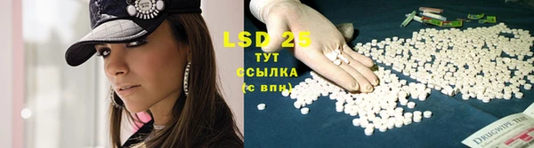 прущие грибы Сосновка