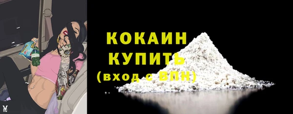 хмурый Сосновый Бор