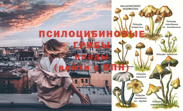 дживик Балабаново
