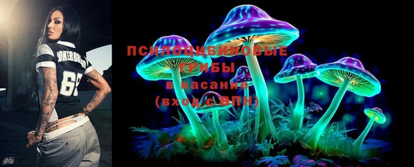 эйфоретик Сосновоборск