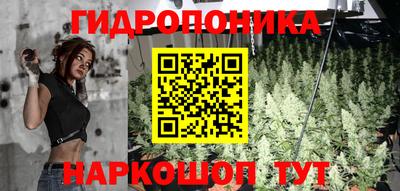 apvp Брянск