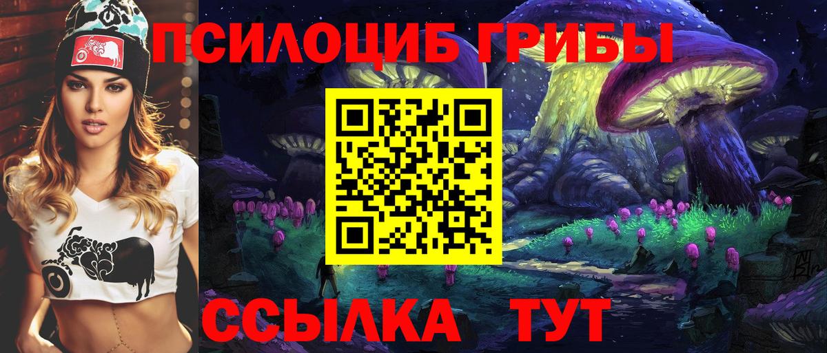 Белово  Псилоцибиновые грибы мухоморы  Вход с VPN 