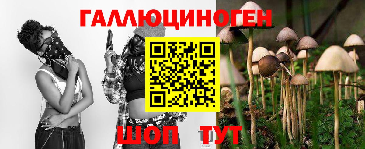 Псилоцибиновые грибы Cubensis Белово