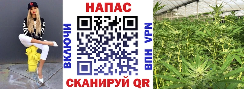 OMG tor  Белово  Марихуана ГИДРОПОН  что такое  